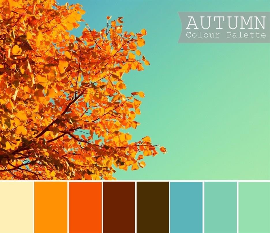 Autumn Colors Aqua And Orange Colourtext