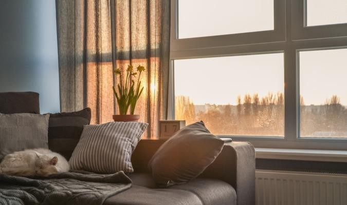 Curtains In An Eco -friendly Living Room