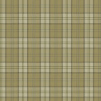 LEWIS - OLIVE