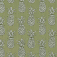 ANANAS - RAINFOREST