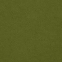 AQUAVELVET - OLIVE