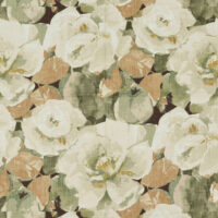 BLOOM - FAWN