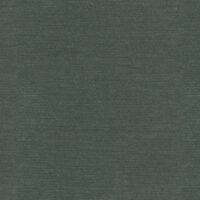 CARDINAL - OCEAN