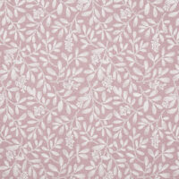 CHARLOTTE 02 - ROSE