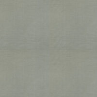 CARMEN - SILVER