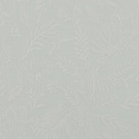 DAYLILY - MINT