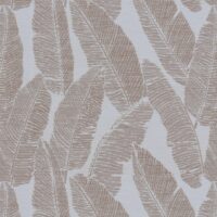 MEDICI - BLUSH