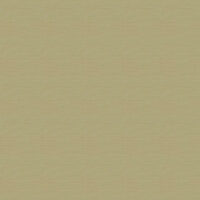 MODE - OLIVE