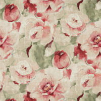 POSY - FRENCH PINK