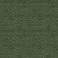SCALA - FERN