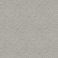 SEAGRAM - SILVER