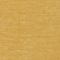 ASPEN - OCHRE
