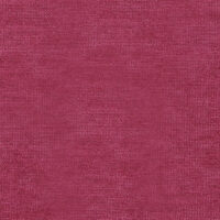 ASPEN - RASPBERRY