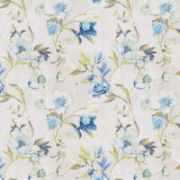 ASTLEY - CORNFLOWER
