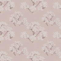 BLOSSOM - BLUSH