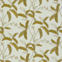 MENARA - OLIVE
