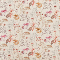 VERBENA - RHUBARB