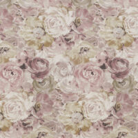 BLOSSOM HAZE - ROSE