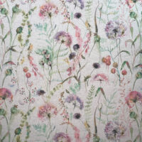 CARLOTTA - ROSA