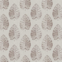 APPLEDORE - WILD ROSE