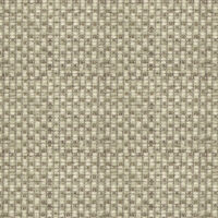 ALEXANDRA PARK DOBBY - MIST