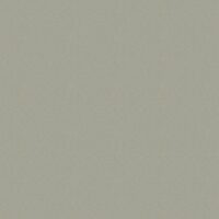 DUNDEE PLAIN - PUTTY