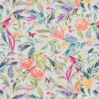 HUMMINGBIRD - TUTTI FRUTTI