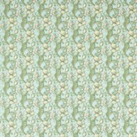 GOLDEN LILY 01 - APPLE/BLUSH