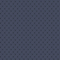 NEW ELEGANT MINI - NAVY BLUE