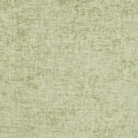 BROOKLYN - EUCALYPTUS