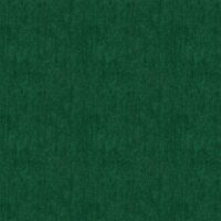 PALERMO - FOREST GREEN