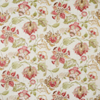 VERCELLI - RASPBERRY