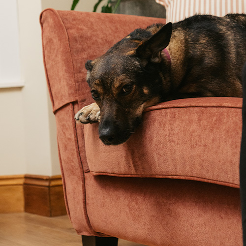 Loved by Lauren Steadman | Real Home Story