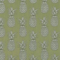 ANANAS - RAINFOREST
