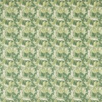 ACANTHUS 01 - APPLE/SAGE