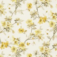 CHERRY BLOSSOM - LEMON