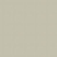 DUNDEE PLAIN - CHALK