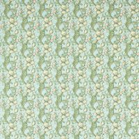 GOLDEN LILY 01 - APPLE/BLUSH