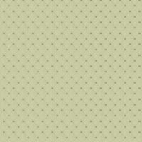 NEW ELEGANT MINI - SOFT GREEN