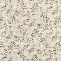 VERBENA - PEPPERMINT