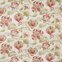 VERCELLI - RASPBERRY