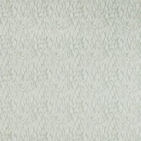 ARLO - FERN