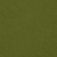 AQUAVELVET - OLIVE