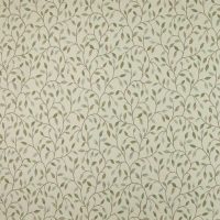 CERVINO - LICHEN