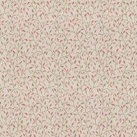 CERVINO - ROSEHIP