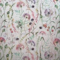 CARLOTTA - ROSA