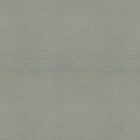 CARMEN - SILVER