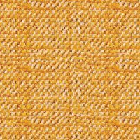 NORTHWOOD - MUSTARD