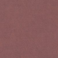 AQUAVELVET - PUCE