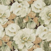 BLOOM - FAWN